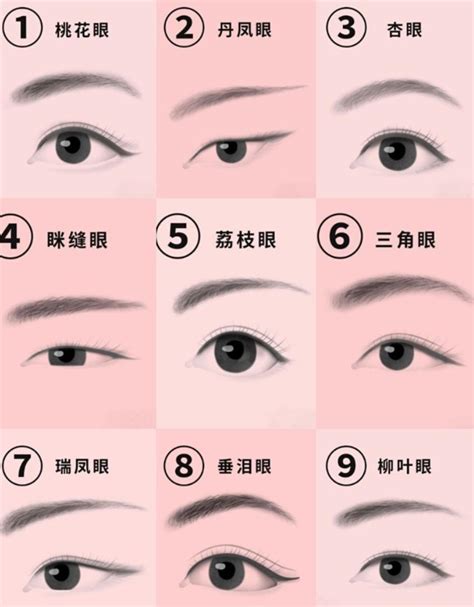 圓眼 長眼|眼形:分類介紹,丹鳳眼,吊眼,瑞鳳眼,睡鳳眼,柳葉眼,狐狸。